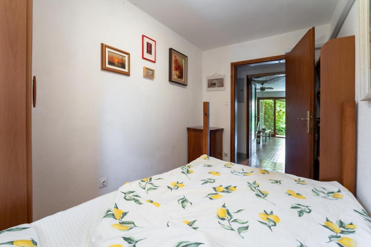 זמברטיה Apartment Ruj מראה חיצוני תמונה